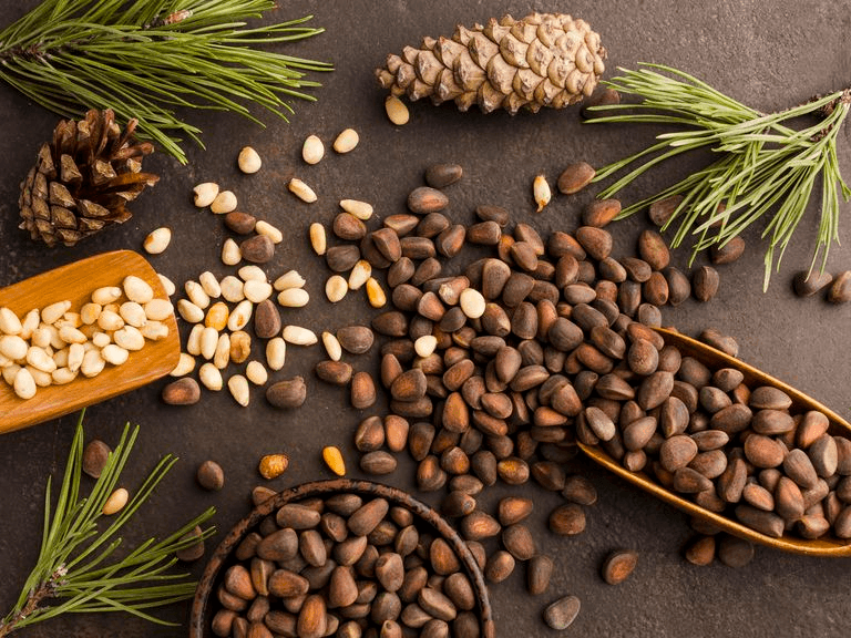 Kopi Luwak
