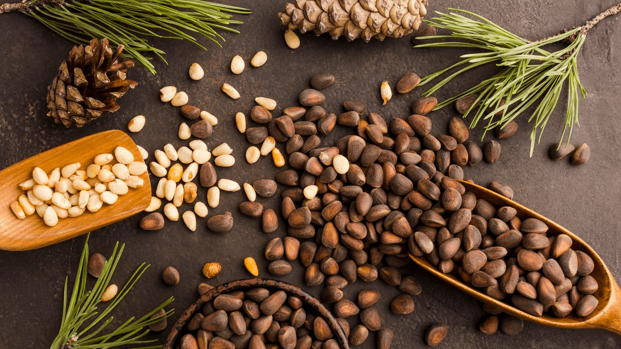 Kopi Luwak